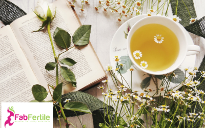 Fertility Teas and Herbs  – Could They Be Harming Your Fertility?