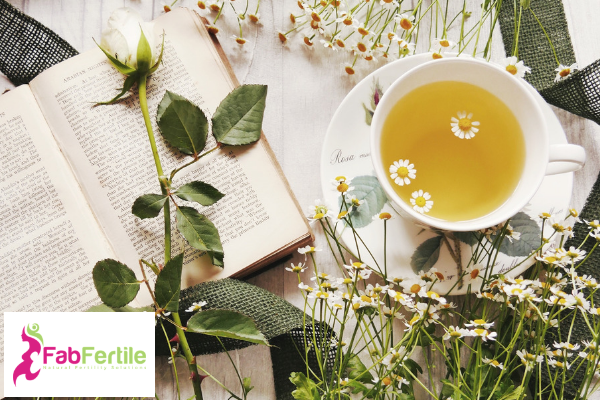 Fertility Teas and Herbs  – Could They Be Harming Your Fertility?