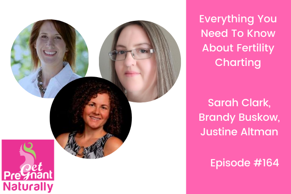 Everything You Need To Know About Fertility Charting