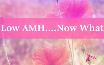 Low AMH…what does it mean for your fertility?
