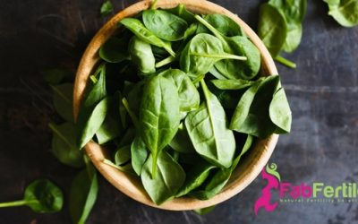 Folic Acid vs Folate – Fake vs Real