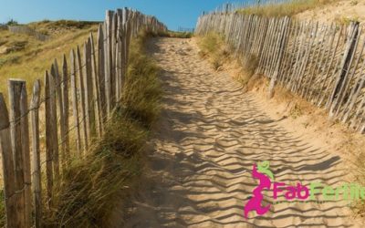 Self Care and Fertility-Nourishing from the Inside Out