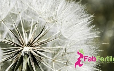 Affirmations for Infertility