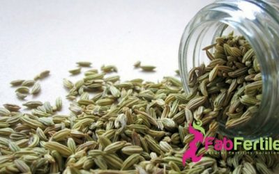 Fertility Essential Oils:  Fennel