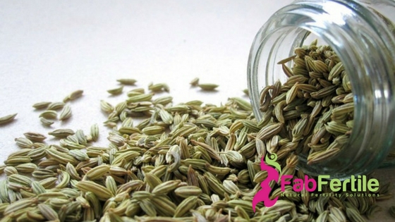 Fertility Essential Oils:  Fennel