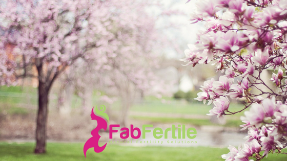 5-DIY-Tips-From-A-Mind-Body-Fertility-Program.png