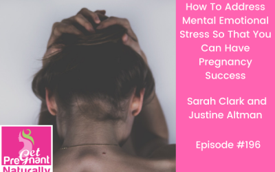 How To Address Mental Emotional Stress So That You Can Have Pregnancy Success
